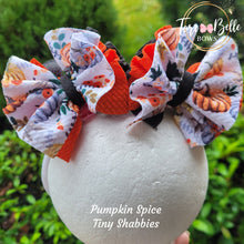 Load image into Gallery viewer, Pumpkin Spice